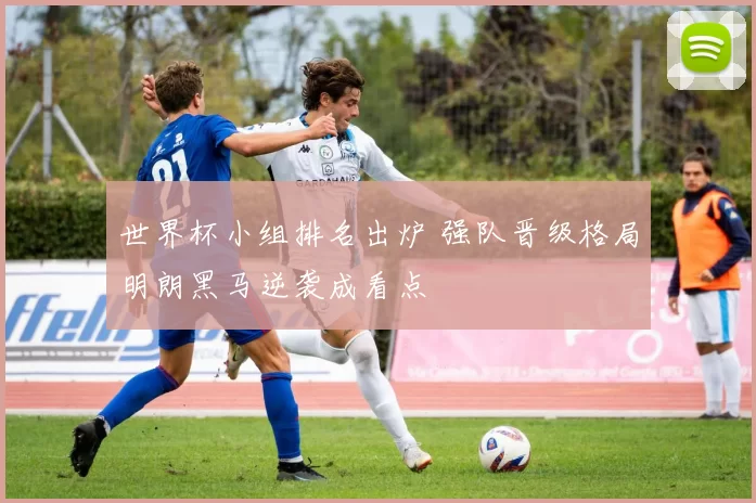 世界杯小组排名出炉 强队晋级格局明朗黑马逆袭成看点