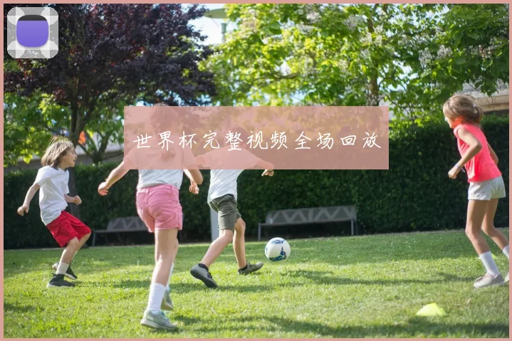 世界杯完整视频全场回放