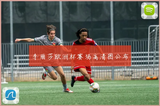 李丽莎欧洲杯赛场高清图公布