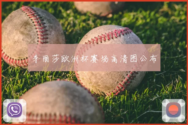 李丽莎欧洲杯赛场高清图公布