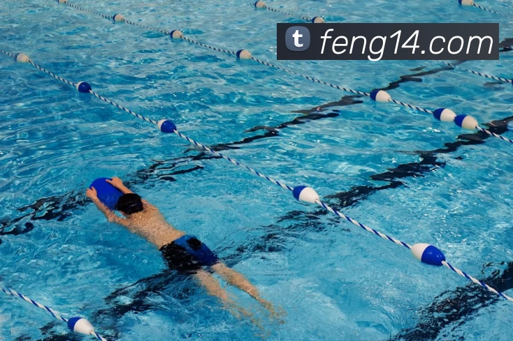 完美体育 - 官方网站服务体系